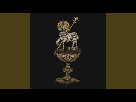 Видео: Чаша