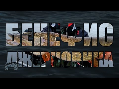 Видео: Бенефис джерковика или сольное выступление друга