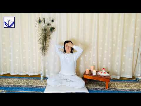 Видео: Рэйки бясалгалын 1-р шатны 27-н дасгал.