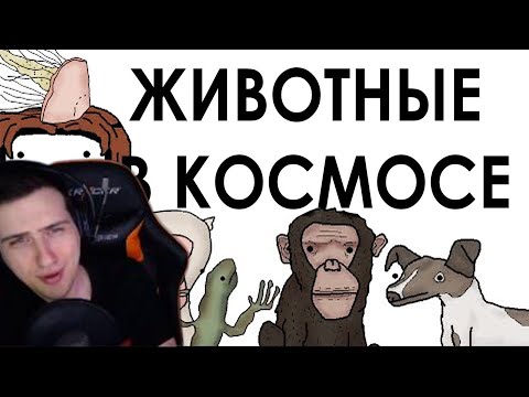 Видео: Hellyeahplay смотрит: Краткая история животных-космонавтов - Академия Сэма Онеллы (Озвучка Rumble)