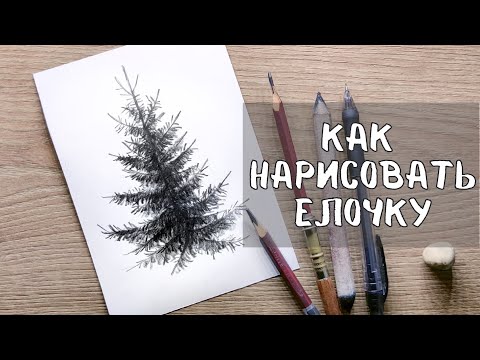 Видео: УРОК 1 - КАК ЛЕГКО НАРИСОВАТЬ ЕЛЬ | Нарисовать ель поэтапно сможет каждый!