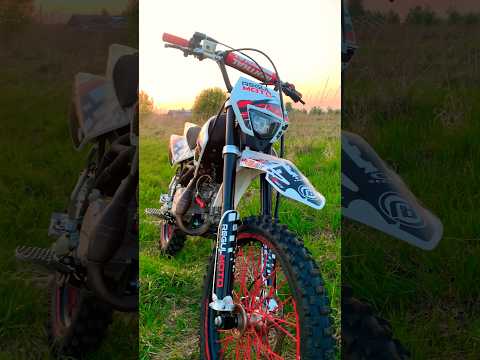 Видео: Regulmoto Seven Medalist 19/16 лучший питбайк! #regulmoto #питбайк #покатушки #лес