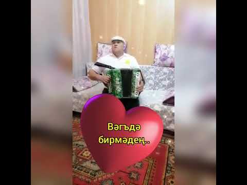 Видео: Гармунда татарча жырлар.