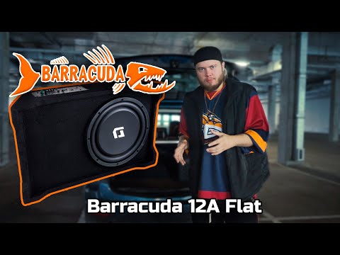 Видео: Сабвуфер, который не мешает. Barracuda 12A Flat