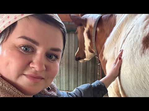 Видео: Обзор доильного аппарата АДЭ-03С AL Витала Фермер.