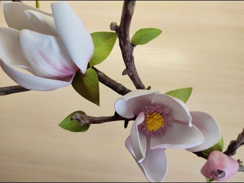 Видео: Реалистичная магнолия из фоамирана без молдов. Легко. flower magnolia from foam. Цветы из фоамирана