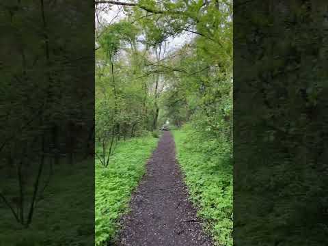 Видео: Ето кога тя губи интерес към теб