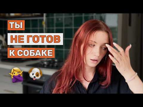 Видео: 5 ОЖИДАНИЙ о собаках, которым не суждено стать реальностью