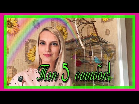 Видео: ТОП 5 ОШИБОК В СОДЕРЖАНИИ ПОПУГАЯ!