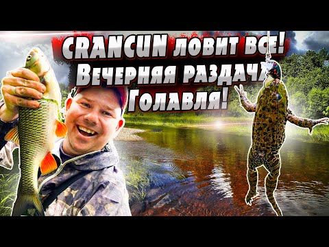 Видео: Голавль в холодный фронт! |  Вечерний выход на кренки! | За голавлем по малым рекам