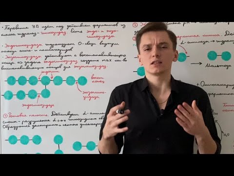 Видео: Переваривание углеводов
