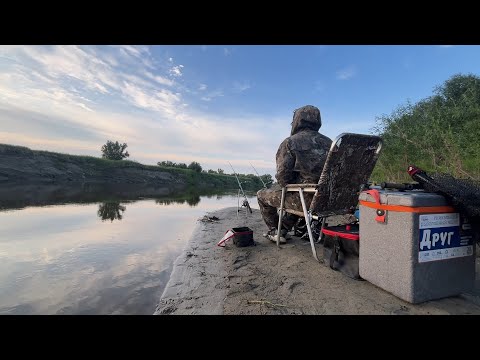 Видео: Вот это поклёвка! Чуть не забрал удочку! Рыбалка с ночёвкой на реке в сказочном месте #рыбалка #2025
