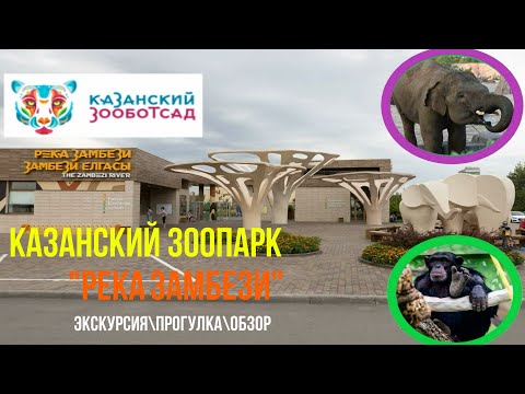 Видео: 🦍КАЗАНСКИЙ ЗООПАРК🐘 - 🐊"Река Замбези"🐅 Небольшой видеообзор 2023🐒