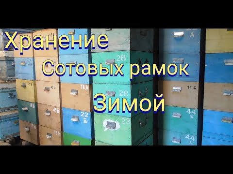Видео: Как сохранить суш зимой. Защита сотовых рамок от моли и мышей.Облет в октябре.