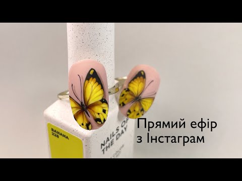 Видео: Метелик. Прямий ефір з інстаграм