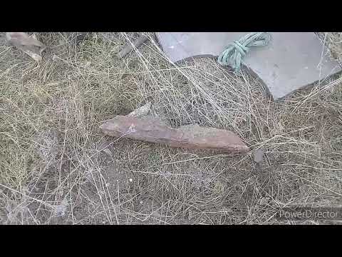 Видео: Коп цветного металла.ТИТАН,МЕДЬ И НЕРЖАВЕЙКА!