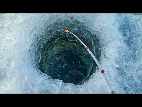 Видео: Кивок ИГРАЕТ и КАРАСЯ привлекает, Ловля карася в глухозимье, Рібалка на карася, Карась зимой