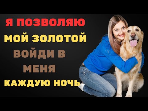 Видео: «Каждую ночь моя собака делает это – так трогательно»