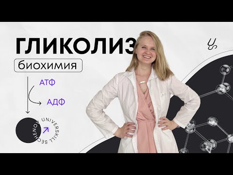 Видео: Аэробный и анаэробный гликолиз. Реакции катаболизма глюкозы. Расчет выхода АТФ в гликолизе