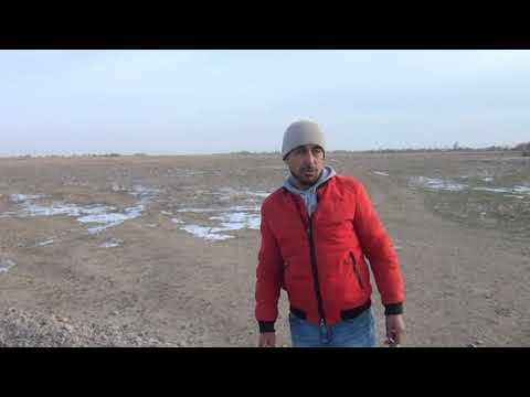 Видео: Түркістан обылысының Прокуратурасына Кентау Шорнак Жер мәселесі бойынша