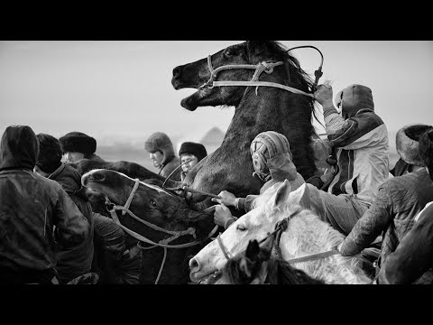 Видео: Көкпар|Өгіз өлді|Қошқар палуан салым салған