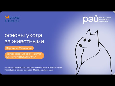Видео: Основы ухода за животными