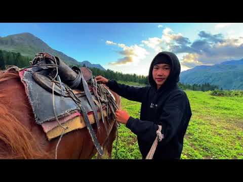 Видео: Қатон Қарағай Мұзтау
