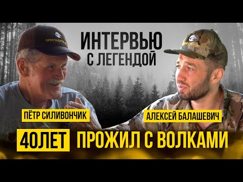 Видео: 40 лет прожил с волками. Интервью с легендарным охотником на волков - Пётр Тимофеевич Силивончик