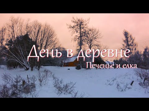 Видео: В лес за елкой.  Имбирное печенье.