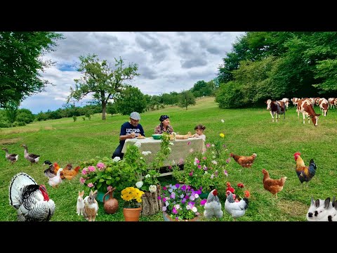 Видео: Жизнь в Горах. Два Самых Вкусных и Простых Рецепта в Одном Видео.