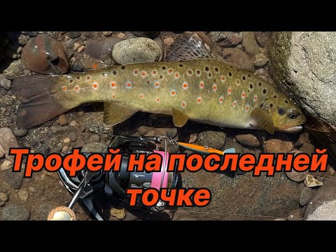 Видео: ТРОФЕЙНАЯ ФОРЕЛЬ НА ПОСЛЕДНЕЙ ТОЧКЕ