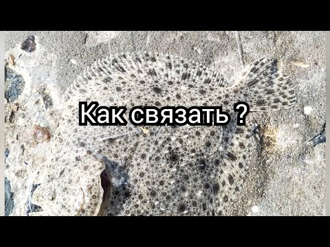 Видео: Снасть на камбалу