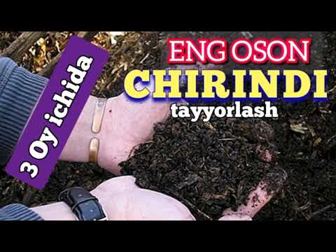 Видео: Uy sharoitida CHIRINDI | GOMUS tayyorlash.  УЙ шароитида Чидинди ва Гомус тайорлаш.