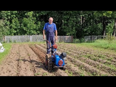 Видео: Урожайный 2023 год