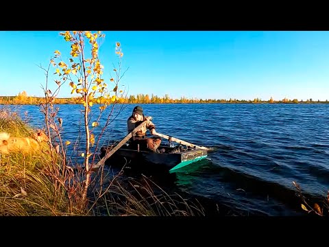 Видео: Открываю сезон охоты - осень 2023. Сентябрь. Море утки. Ловушка на рябчика. Охота в Республике Коми.