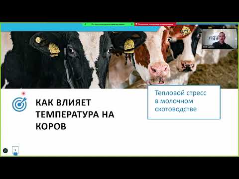 Видео: 06 05 Кирилл Осипов «Микроклимат в коровнике  Неочевидные особенности»