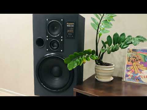 Видео: Для авито Электроника Б1-01