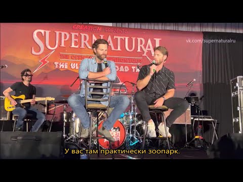 Видео: Джаред и Дженсен о детях и питомцах - Кон в Орландо 2022 (рус.суб.)