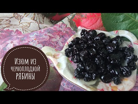 Видео: Изюм из черноплодной рябины. Получится с первого раза.