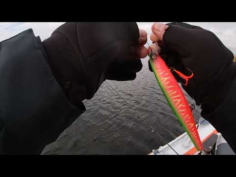 Видео: Щука на воблер bearking 128.