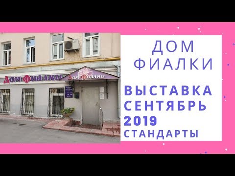 Видео: Выставка в Доме Фиалки Сентябрь 2019 Стандарты