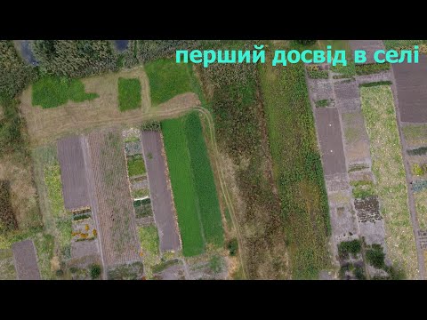 Видео: Перший досвід приготування