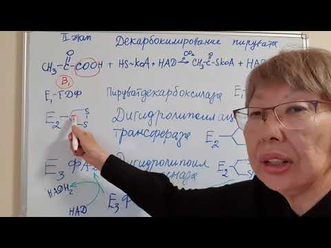 Видео: Окислительное декарбоксилирование пирувата.