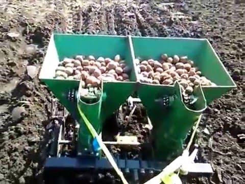Видео: Мінітрактор Forte T-121 як я садив картоплю.