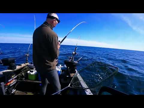 Видео: Рыбалка на лосося в Балтийском море . Май 2022.