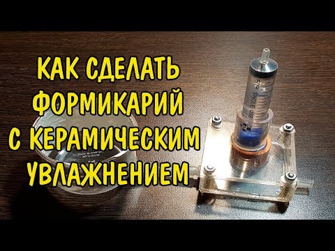 Видео: ФОРМИКАРИЙ С КЕРАМИЧЕСКИМ УВЛАЖНЕНИЕМ + ЗАСЕЛЕНИЕ
