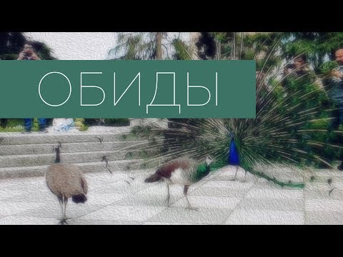 Видео: Обиды