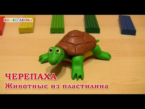 Видео: ЧЕРЕПАХА - Лепим из пластилина | Видео Лепка