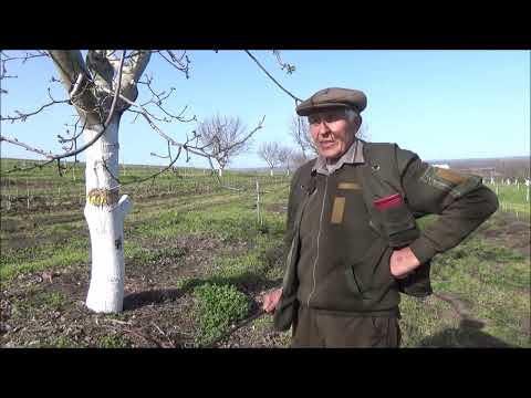 Видео: Комиссионная уборка Песчанского ущерб от морозов минимизирован подготовкой к зиме. Сентябрь 2025