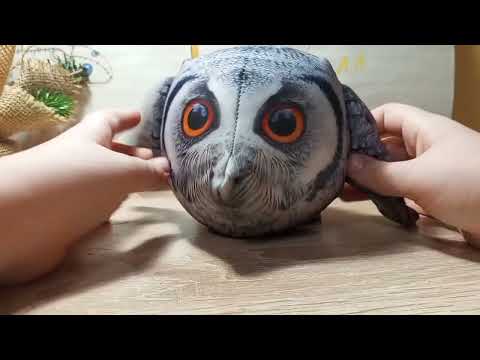 Видео: все игрушки БЛОПТОП